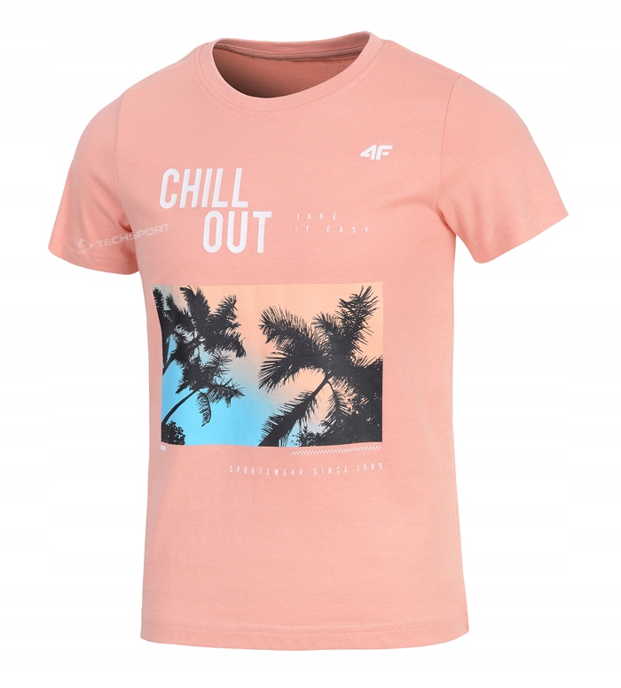 

4F Chłopięca Koszulka T-shirt Bawełna 164