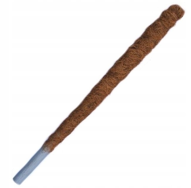 

Palik Kokosowy tyczka podpora pnączy Gruby 150cm