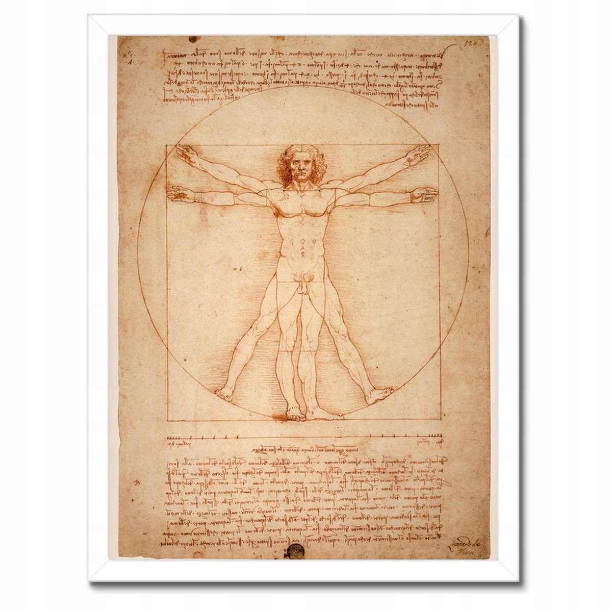 Plakáty v rámu 30x40 Vitruviánský muž da Vinci