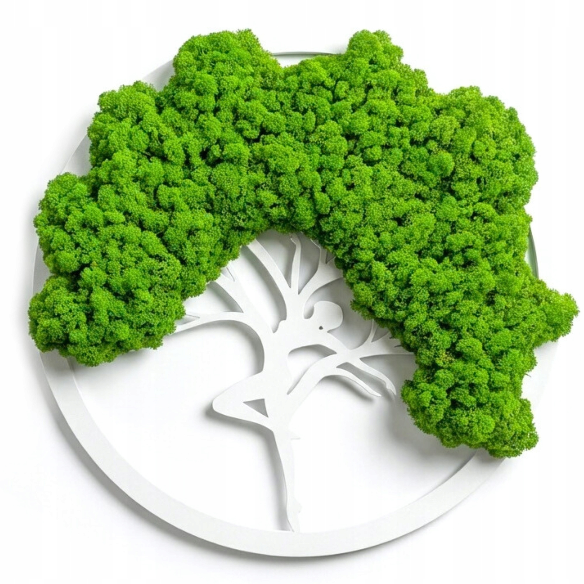 Obraz Z Mechu Chrobotek Živý Stromek Bonsai Na Zeď Ozdoba Dekorace