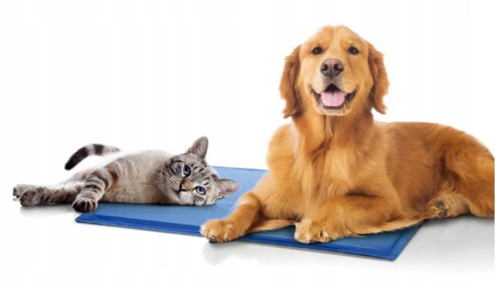 Levně Chladící podložka pro psa kočku Pelíšek XXL až 90x50