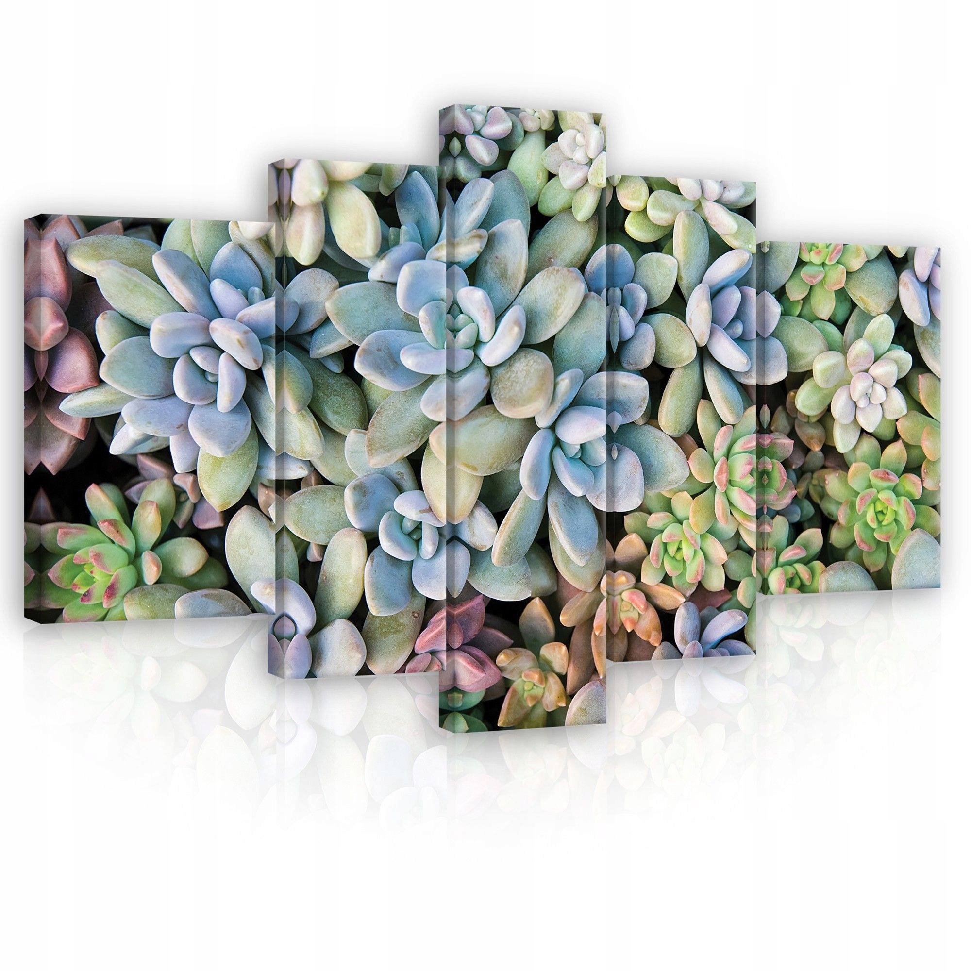 Obraz 170x100 Sukulenty modulárne rastliny príroda dekorácia stien