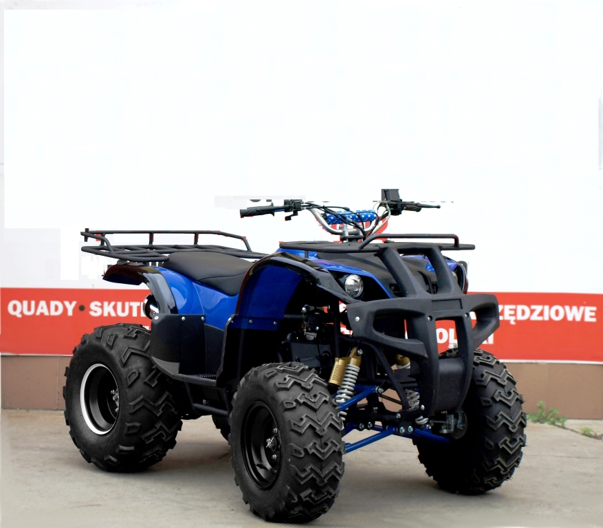 ДИСК СТАЛЬНОЙ 10 ЦЕЛЫЕ ЗАД ЗАД QUAD 150 200 250 фото 5