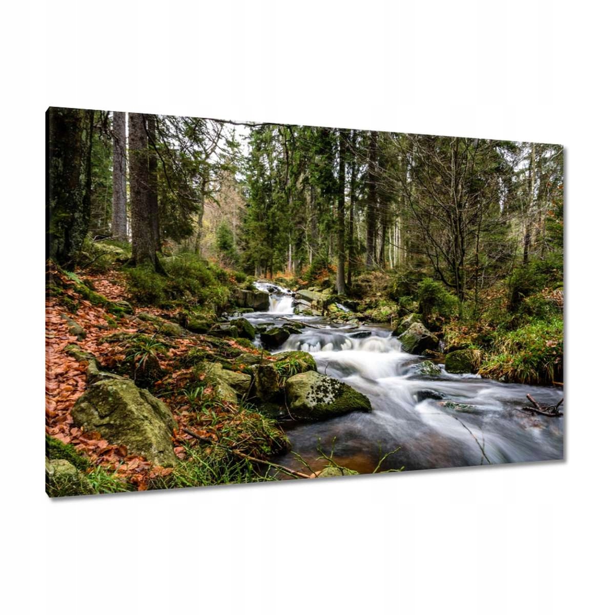 Obrazy 120x80 Krajina