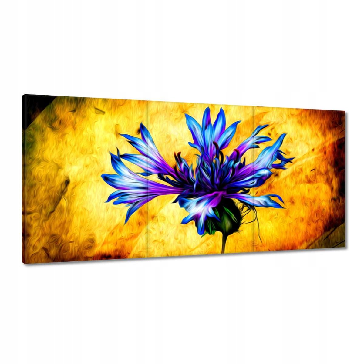 Obrazy 120x60 Modrak