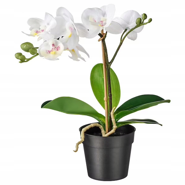 

Ikea sztuczna roślina Fejka orchidea storczyk 28cm
