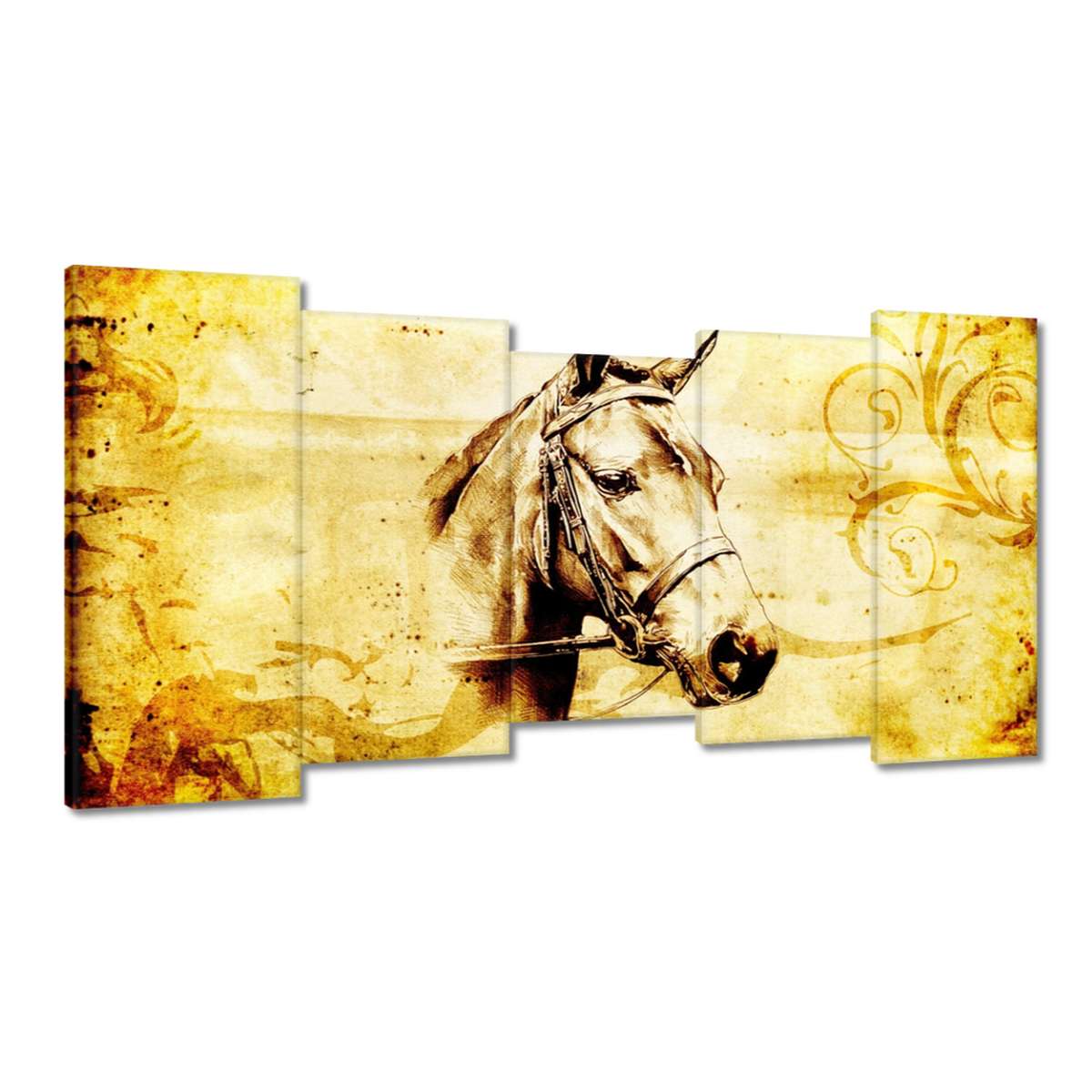 Obrazy 150x80 Hlava koně