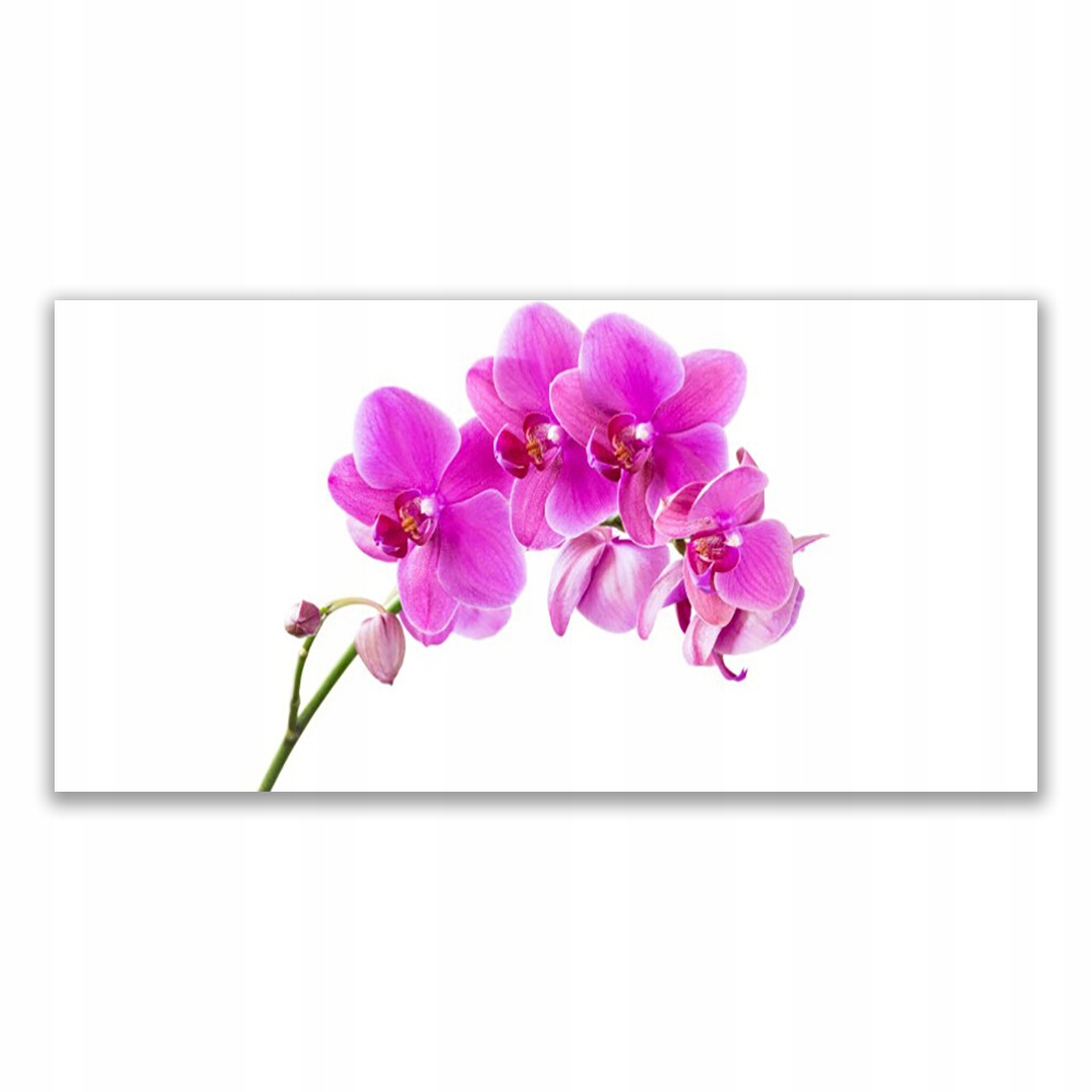 

Obraz akryl ścienny 140x70 Storczyk Kwiat Orchidea