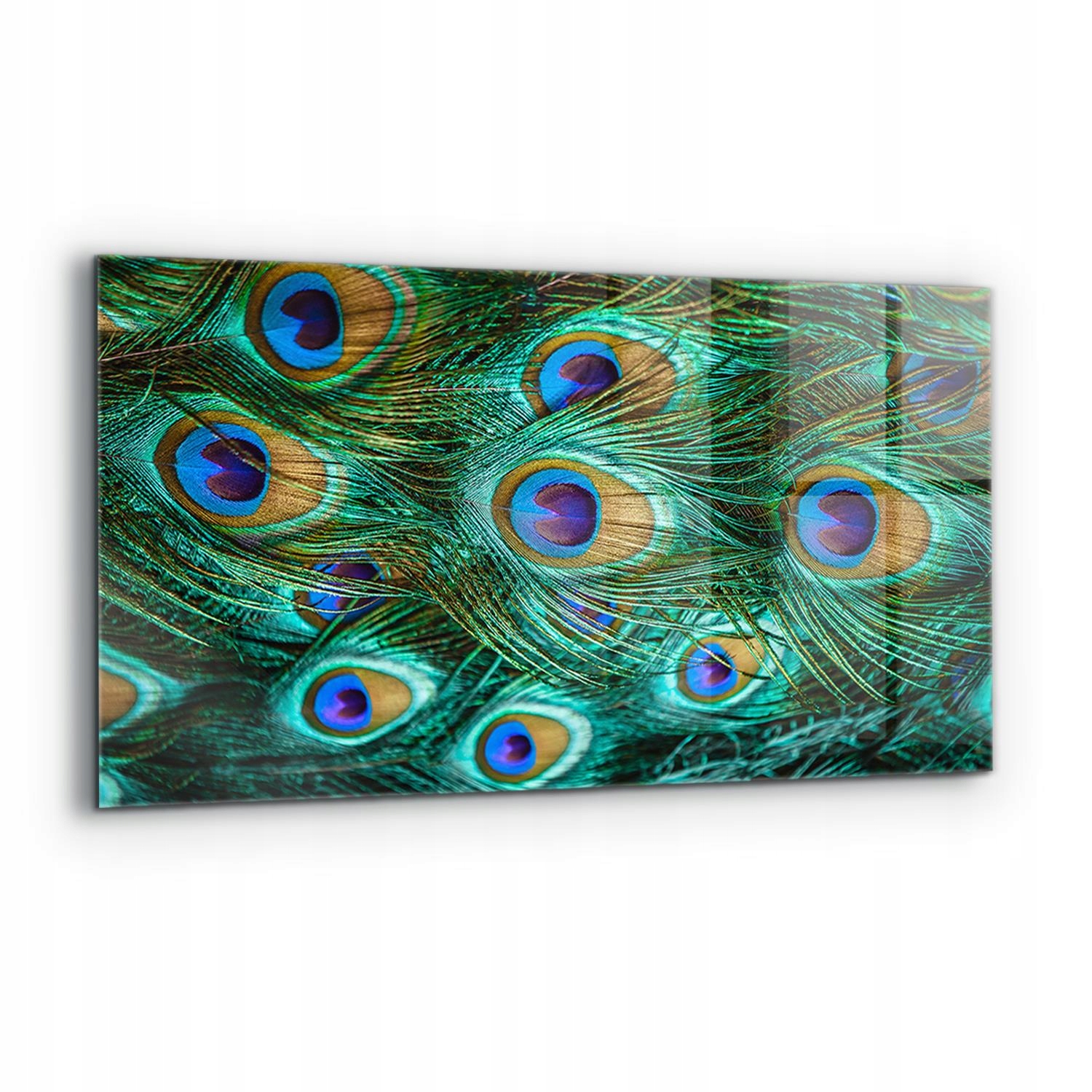 Nástenný panel Pávie perie Krásna príroda 120 x 60 cm