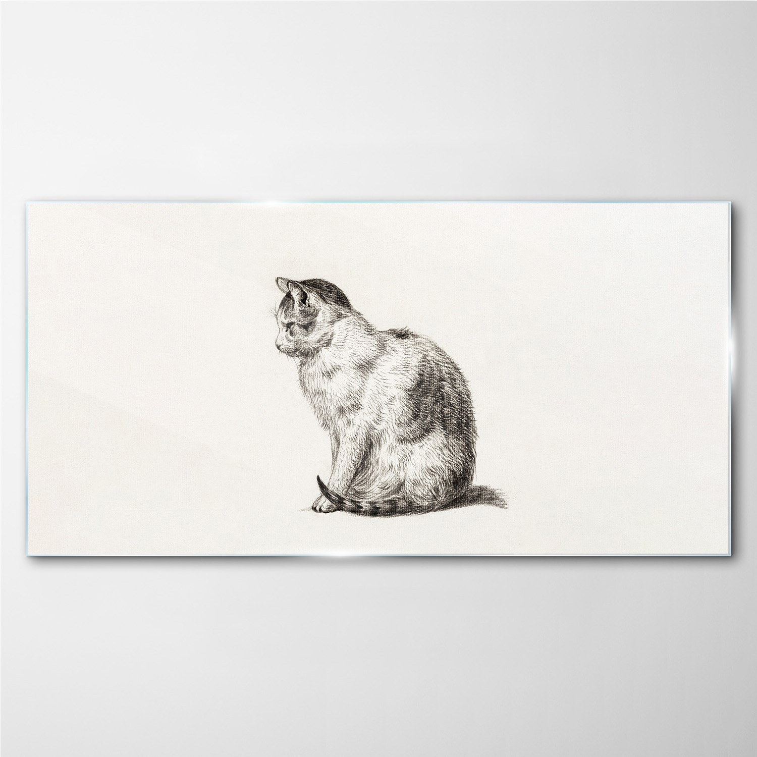 

Foto obraz szklany na ścianę Zwierzę kot 140x70 cm