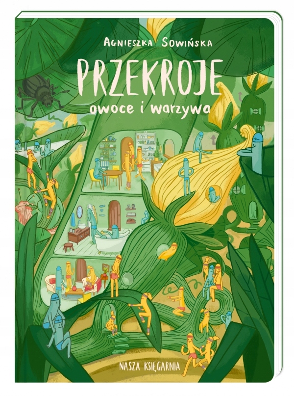 

Przekroje: owoce i warzywa