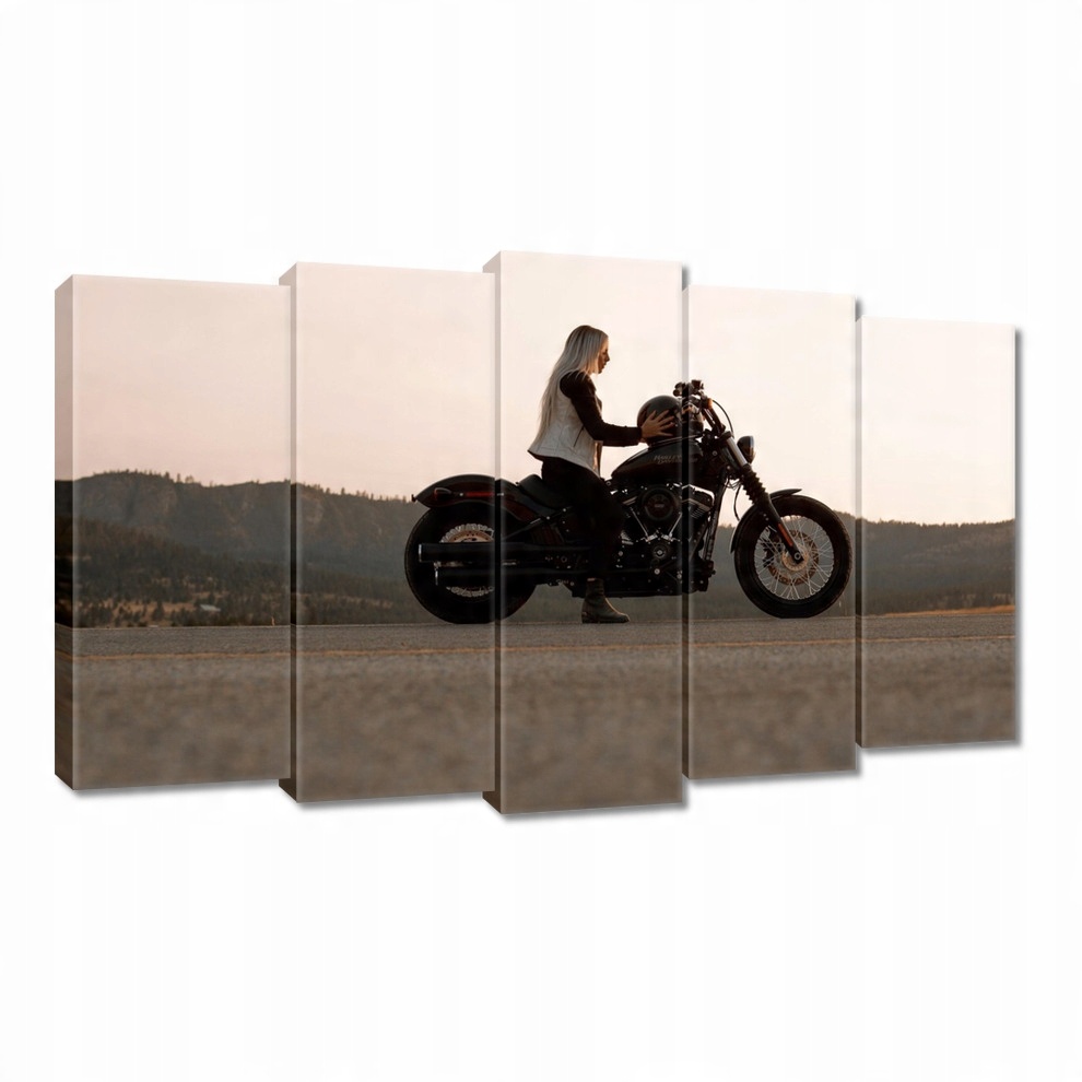 

Obrazy 100x60 Harley Davidson Motocykl