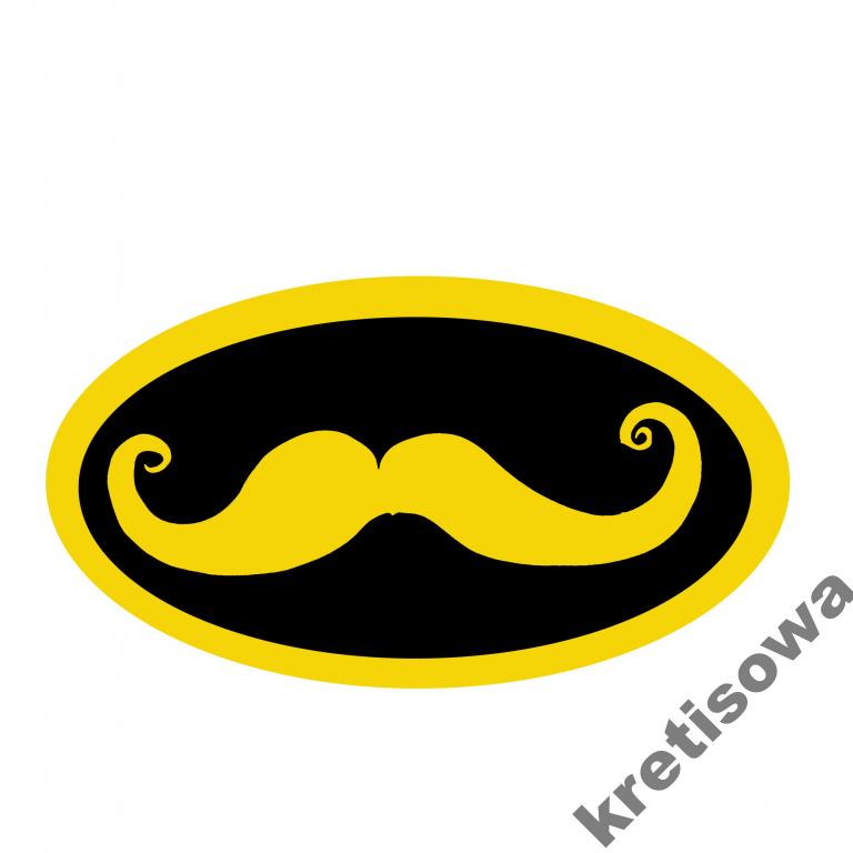 

Damsk koszulka Batman Czy Nie Batman Wzory b3a