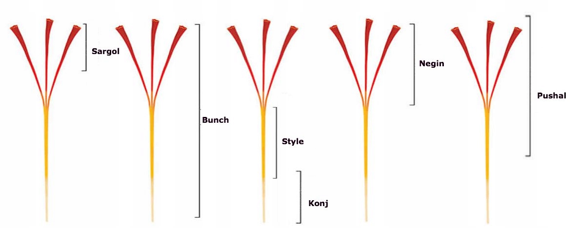 SZAFRAN PUSHAL IRAN 10g CZERWONE NITKI Kod producenta Iran