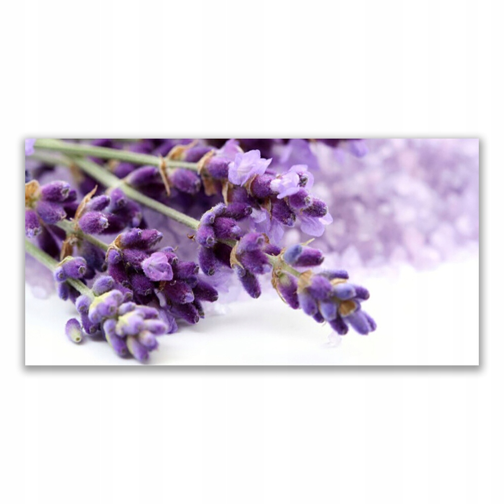 

Fotoobraz na ścianę 140x70 Kwiaty Natura Rośliny