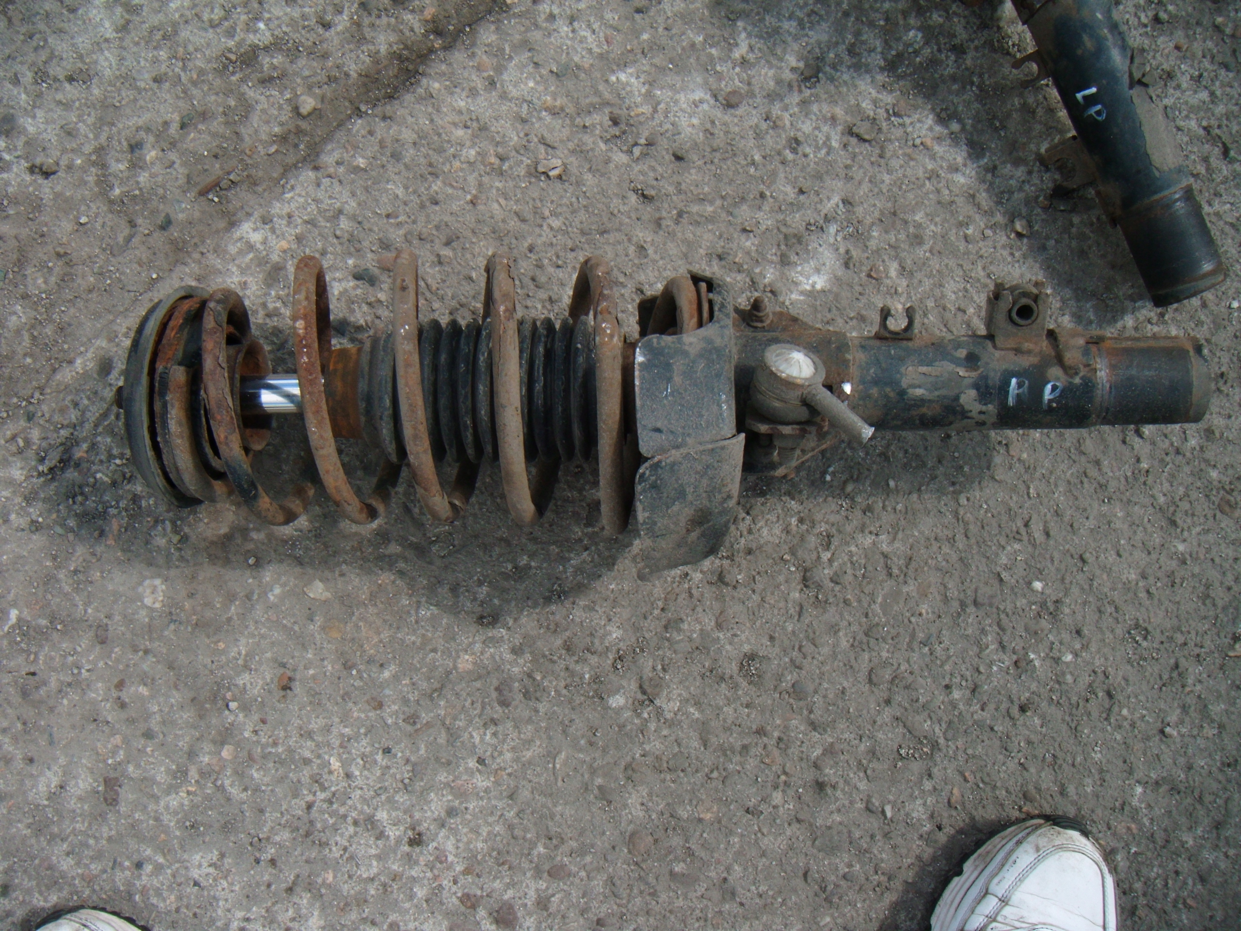 CITROEN C3 2002 - 2009 1.4 HDI AMORTYZATOR SPRĘŻYNA MCPHERSON PRAWY PRZÓD