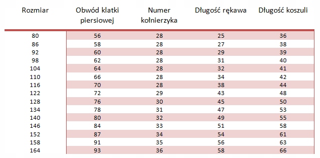 KOSZULA CHŁOPIĘCA BIAŁA DŁUGI RĘKAW Z MUCHĄ R.98 Marka Inna marka