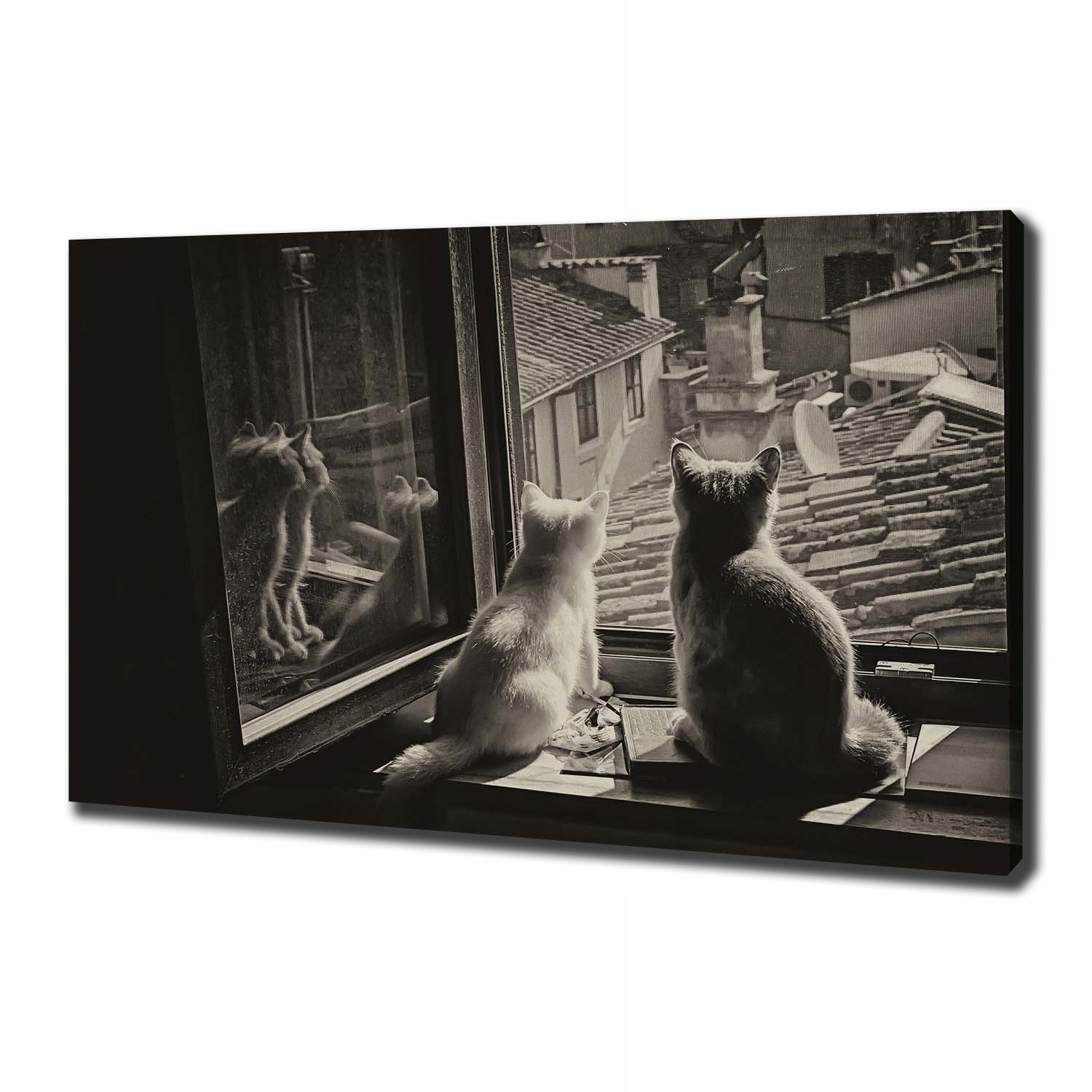

Foto obraz na płótnie Koty przy oknie 100x70 cm