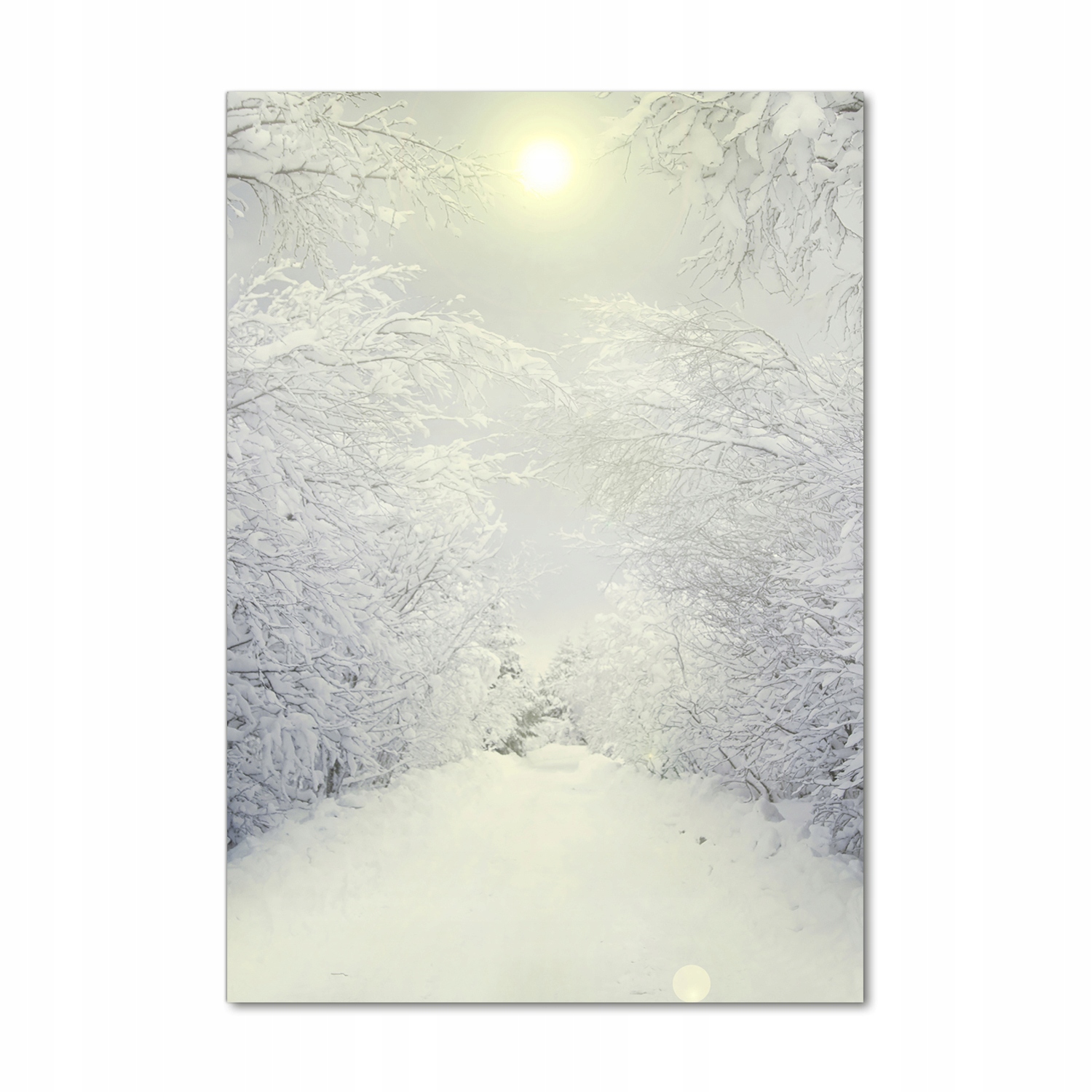 

Foto obraz akrylowy na ścianę Las zimą 70x100 cm