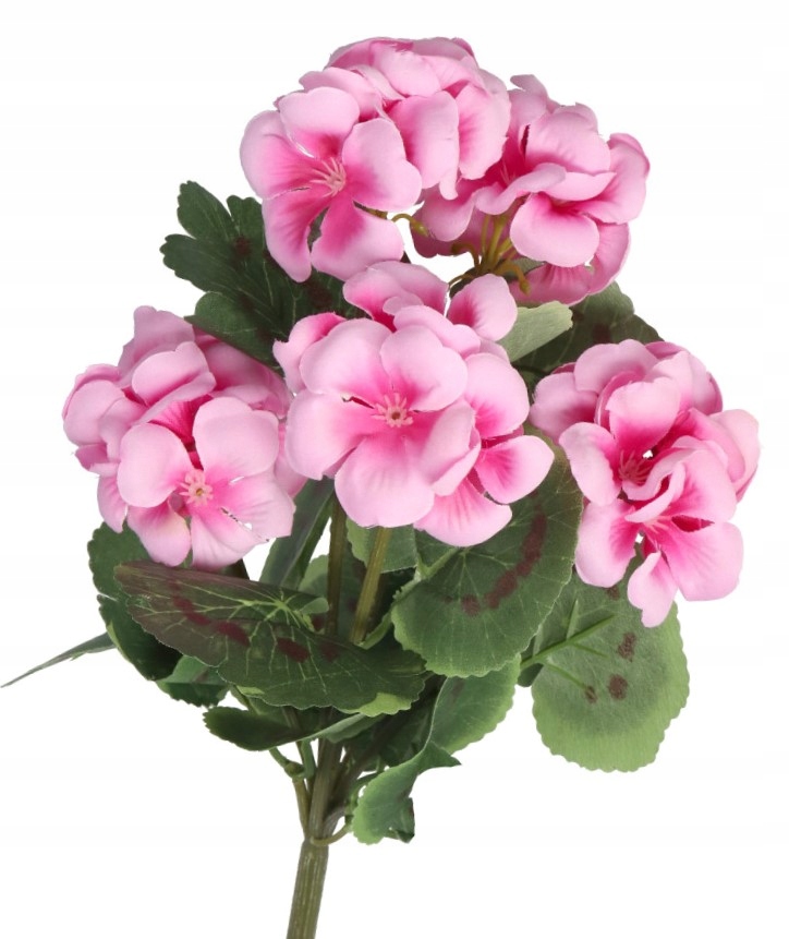 

Pelargonia Duża Gęsta Bukiet Sztuczne Kwiaty 36CM
