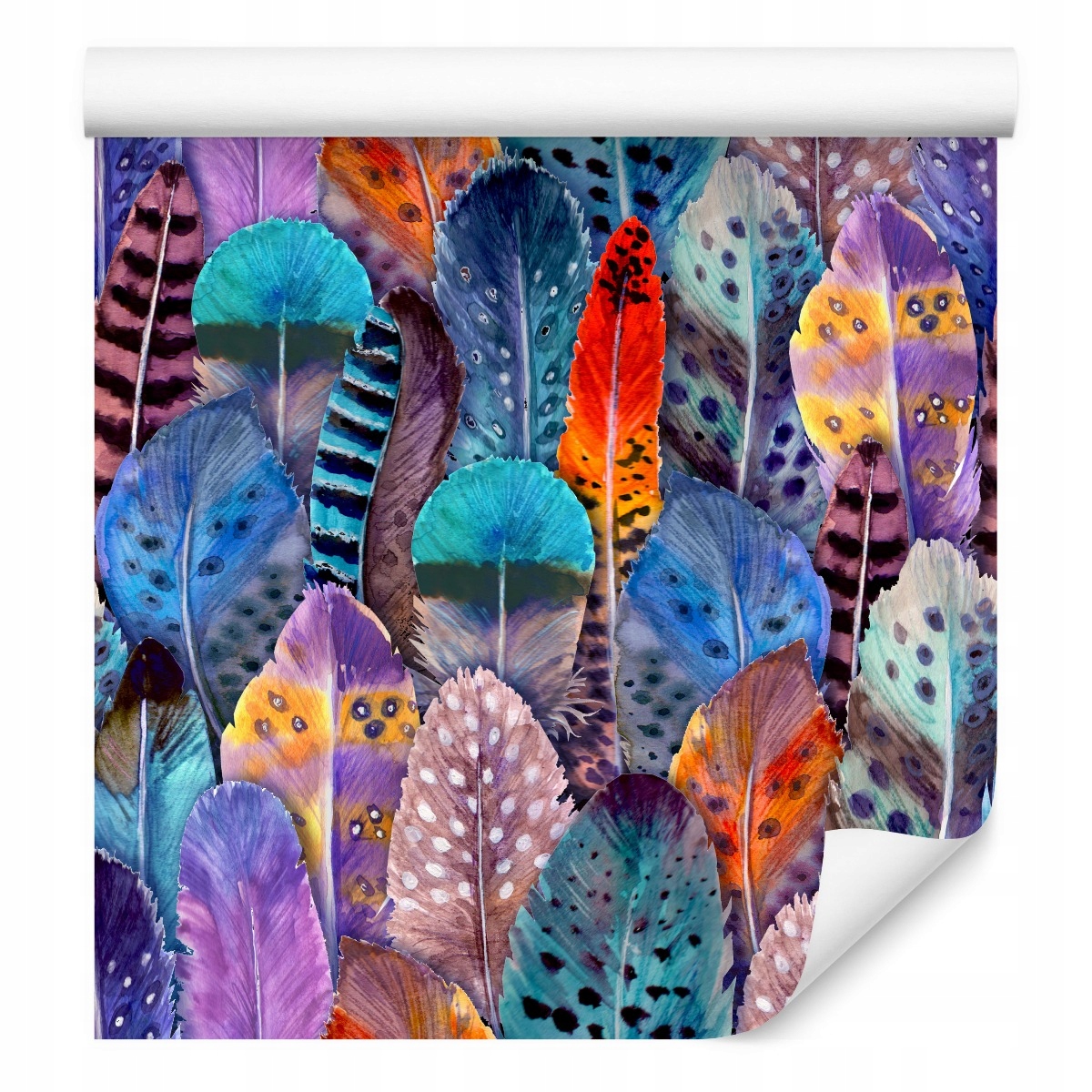 Tapeta do obývacího pokoje Barevné malované peří Dekorace