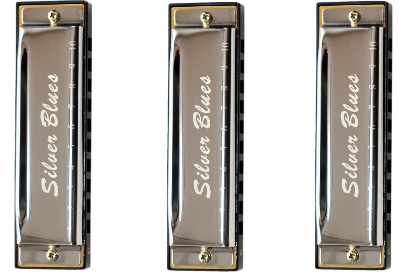 ZESTAW HARMONIJEK DIATONICZNYCH SILVER BLUES SET