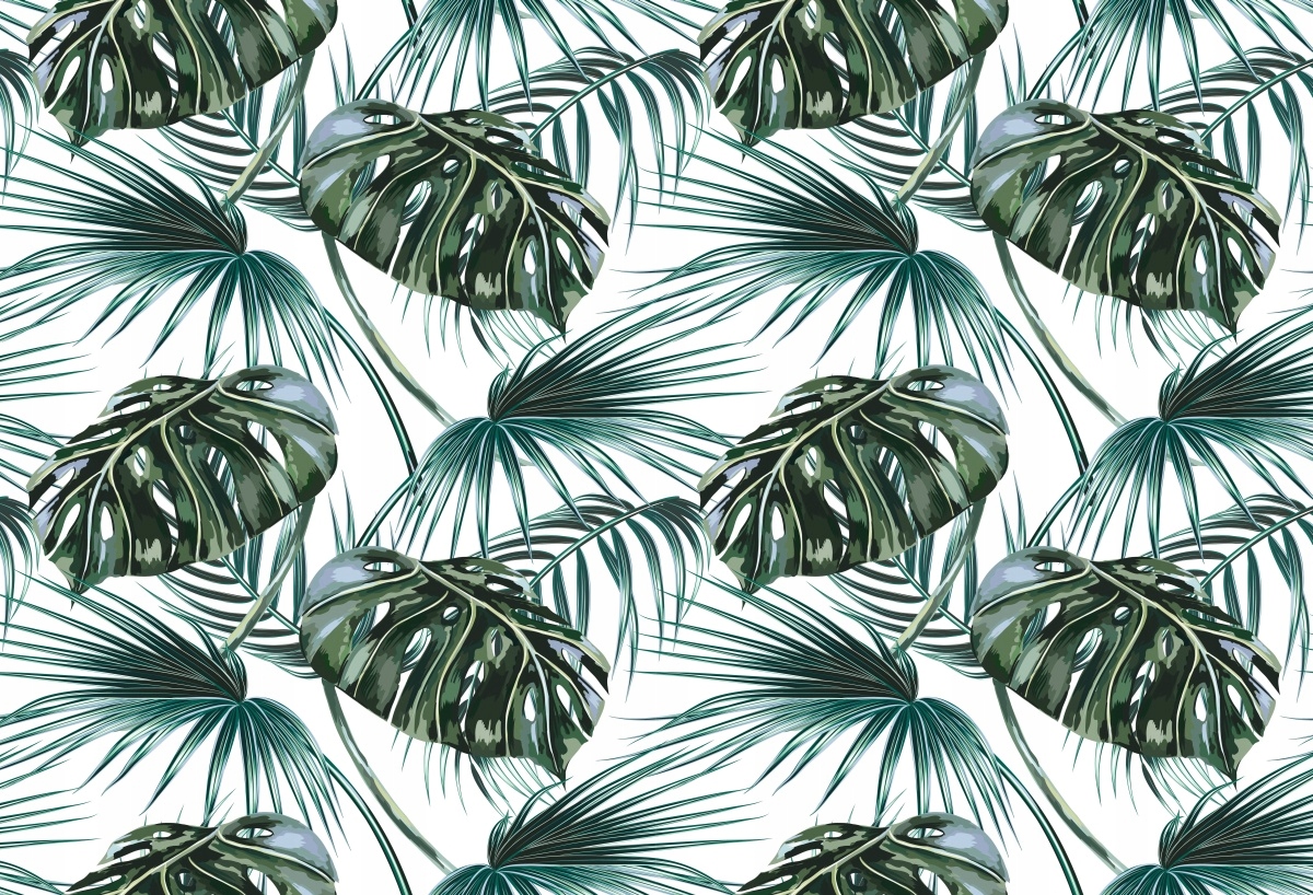 

Fototapeta Flizelinowa Liście palmowe - 104x70