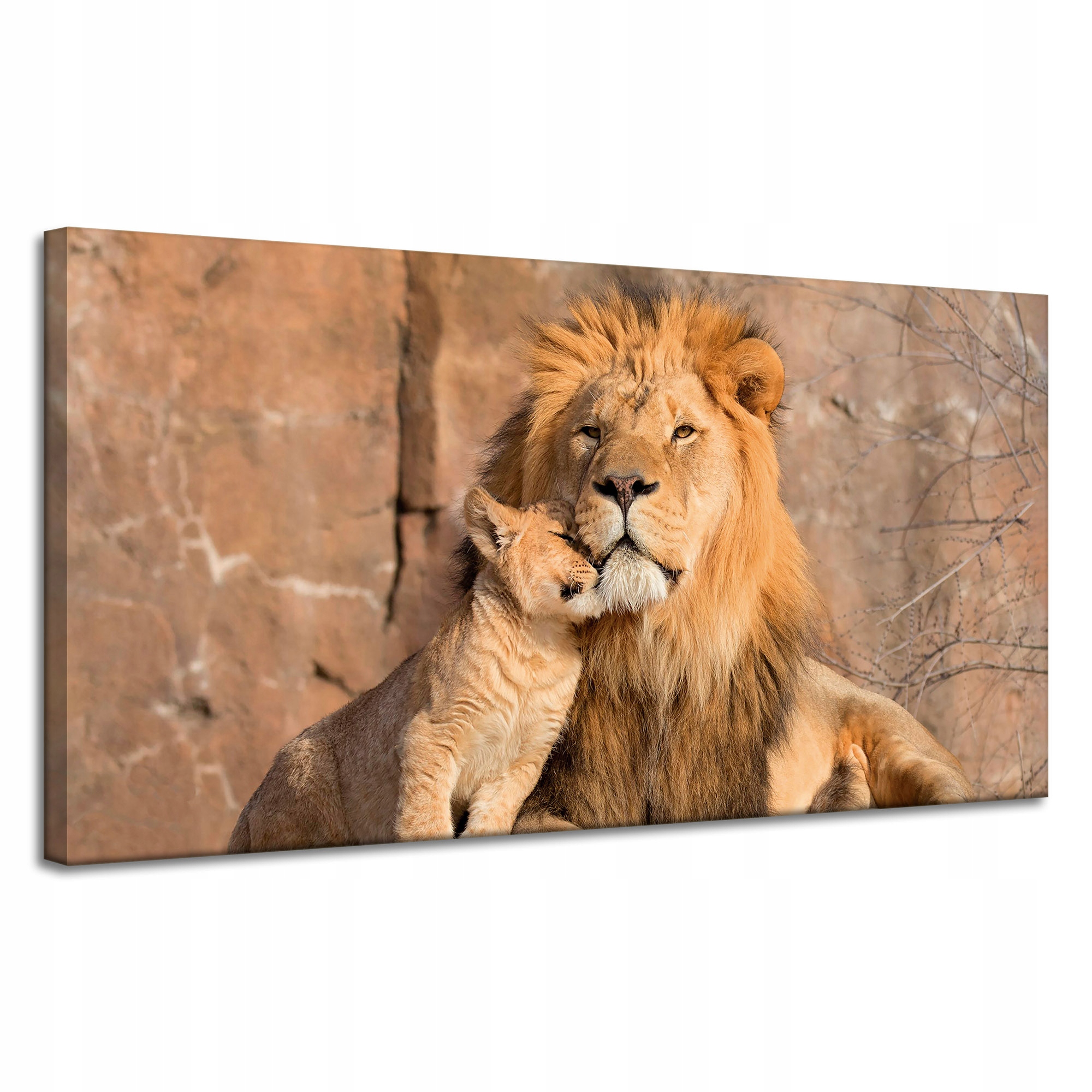Obraz na plátně Lev a Lvíček Příroda Skály Světlo 120x60 cm