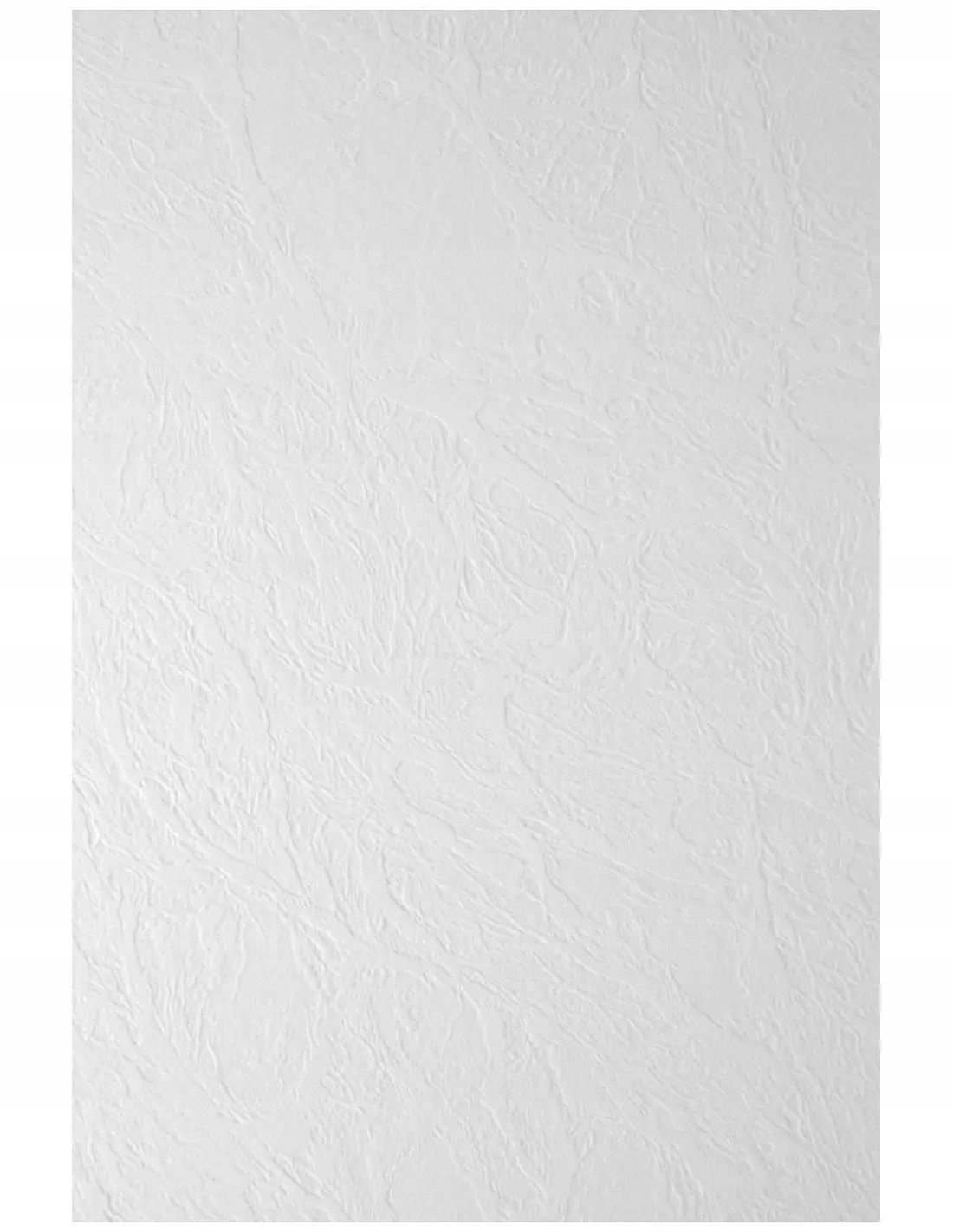 

Papier ozdobny wizytówkowy 246g Skóra biały 20A5