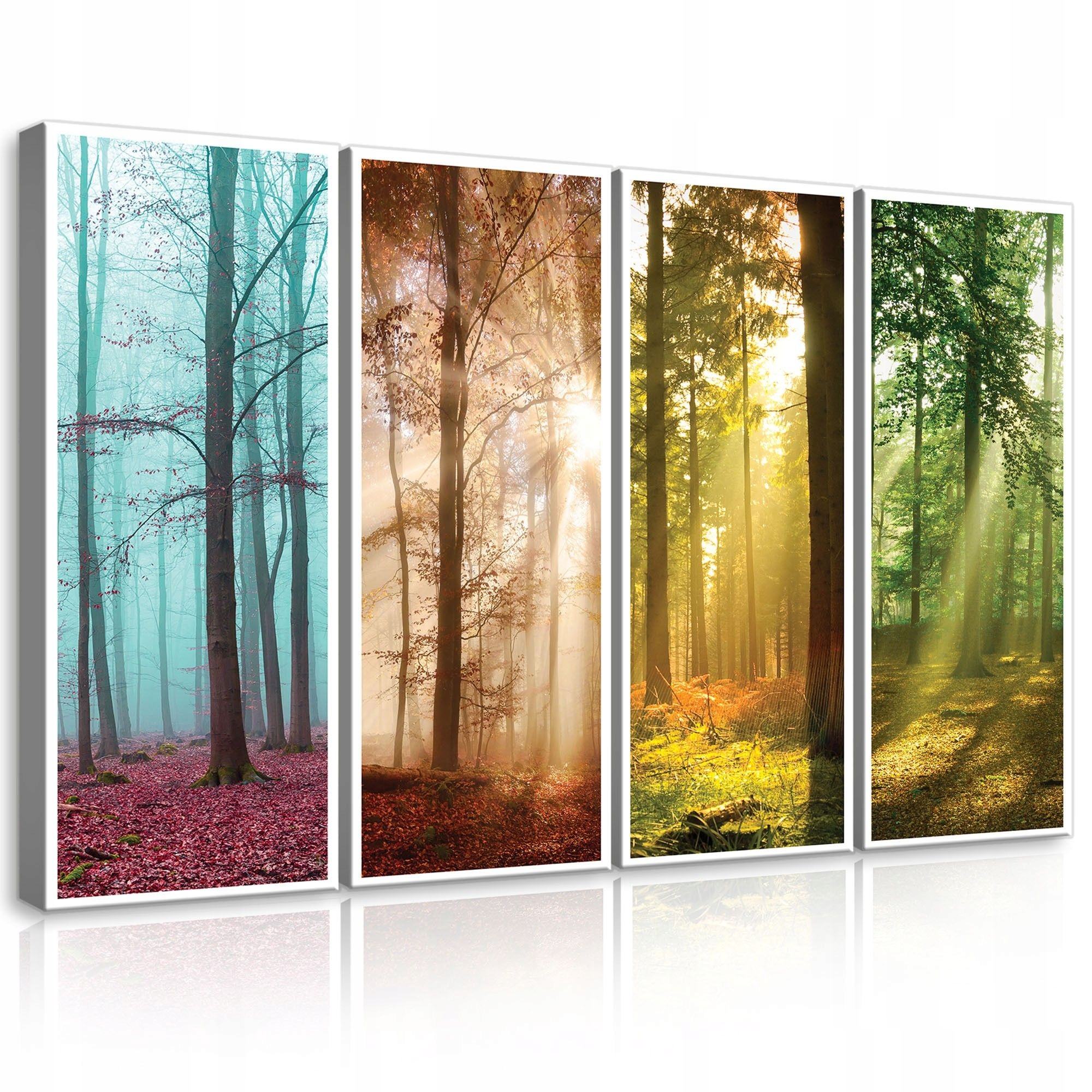 Obraz 120x80 Les ročné obdobia slnečné svetlo stromy príroda jeseň