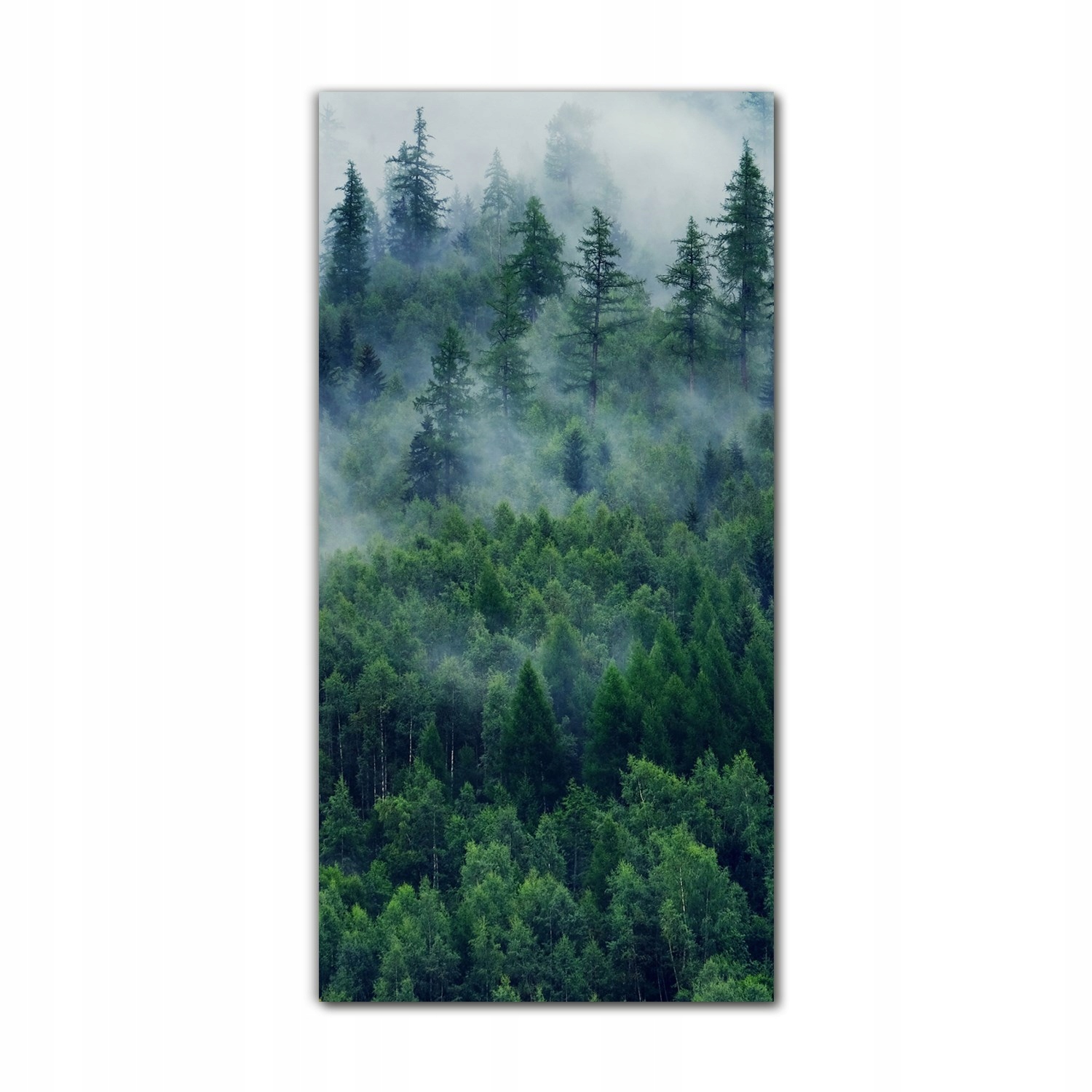 

Foto-obraz ścienny grafika 70x140 Mgła krajobraz