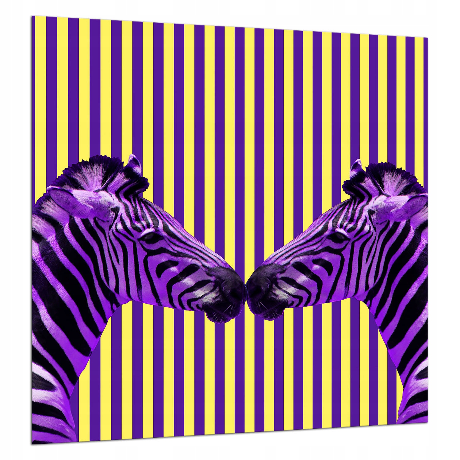 Skleněná Deska Ochranná 60x65 Zebra