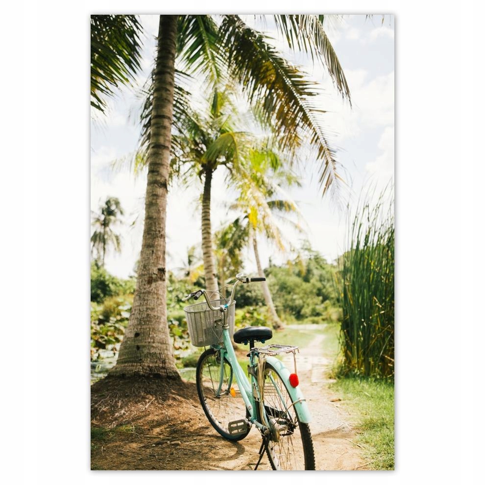 

Plakat 62x93 Rowery Rowerki Dwa Kółka