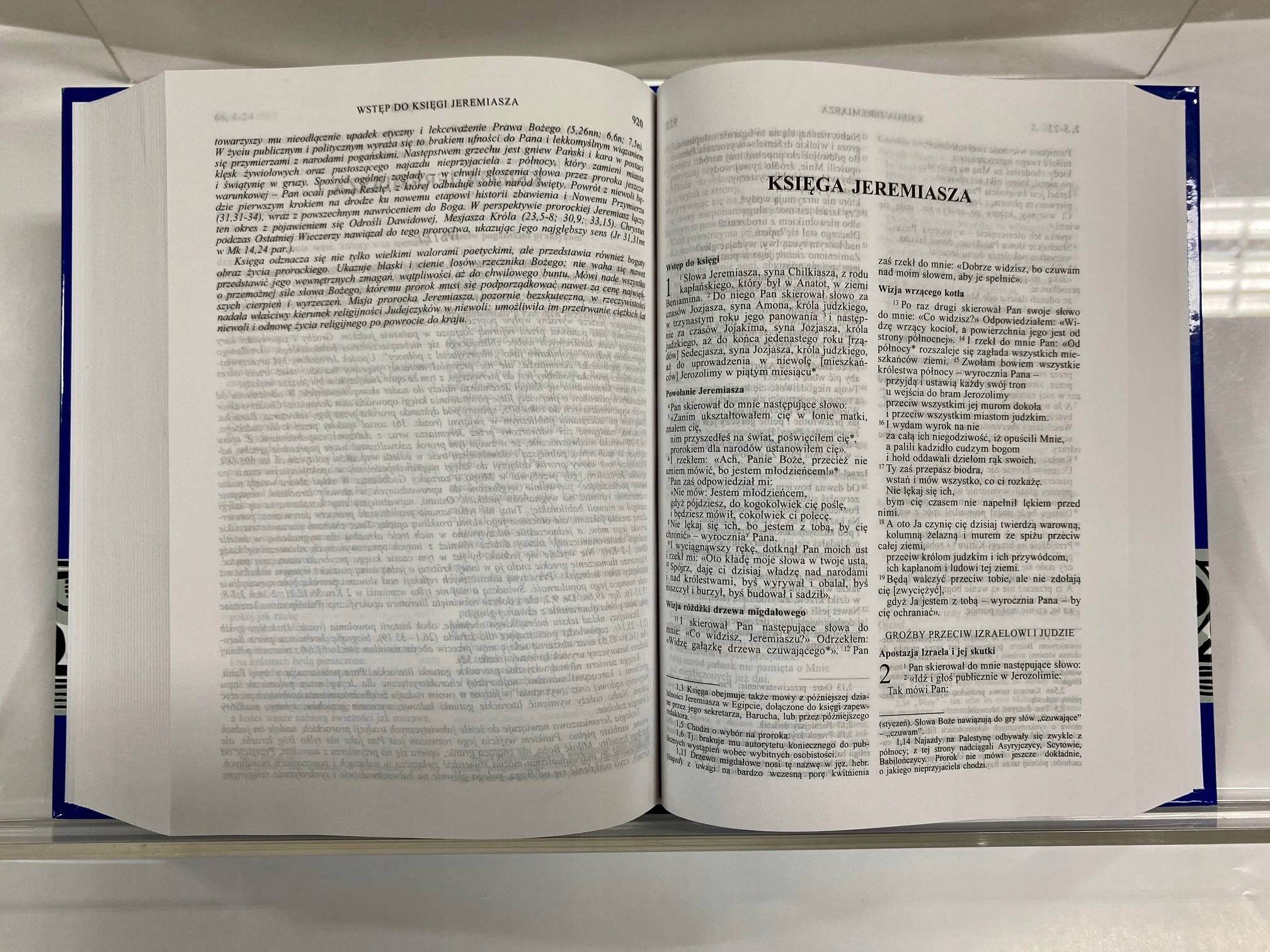 BIBLIA Starego Nowego Testamentu DUŻE PISMO ŚWIĘTE Gatunek Wiara, duchowość