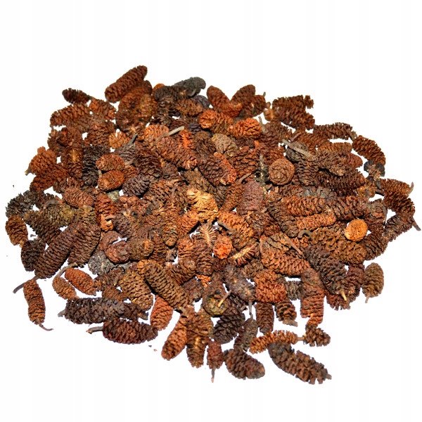 

Susz Szyszki mini naturalne 2-3 cm 125g stroik