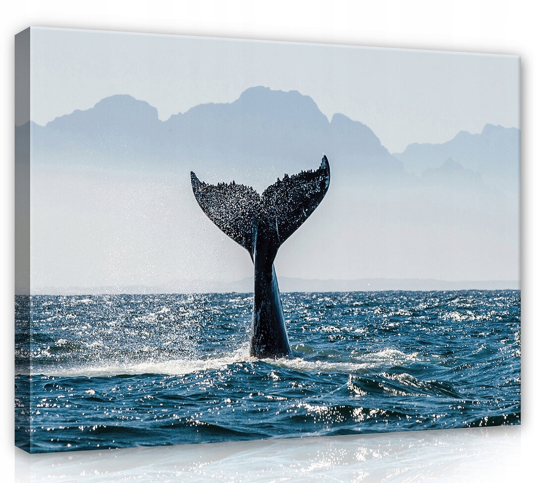 Obraz Na Plátně Canvas 100x75 Velryba Ocas Voda