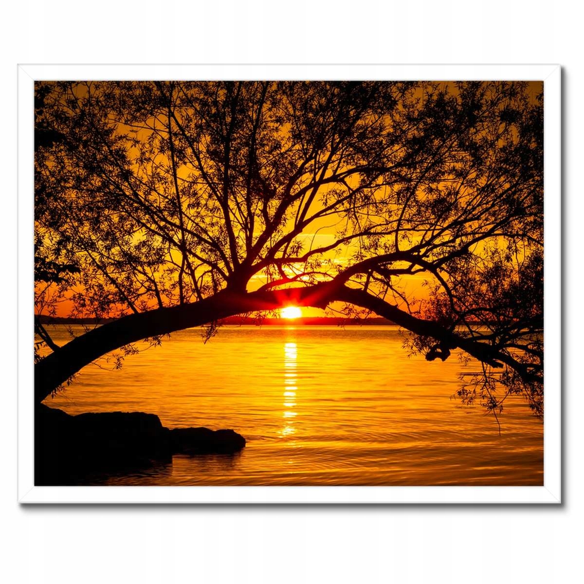 Plakáty v rámu 50x40 Pláž Strom Moře