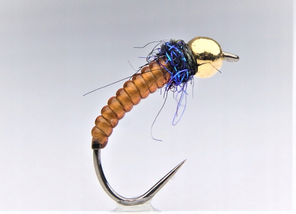 

Caddis larva violet black thorax