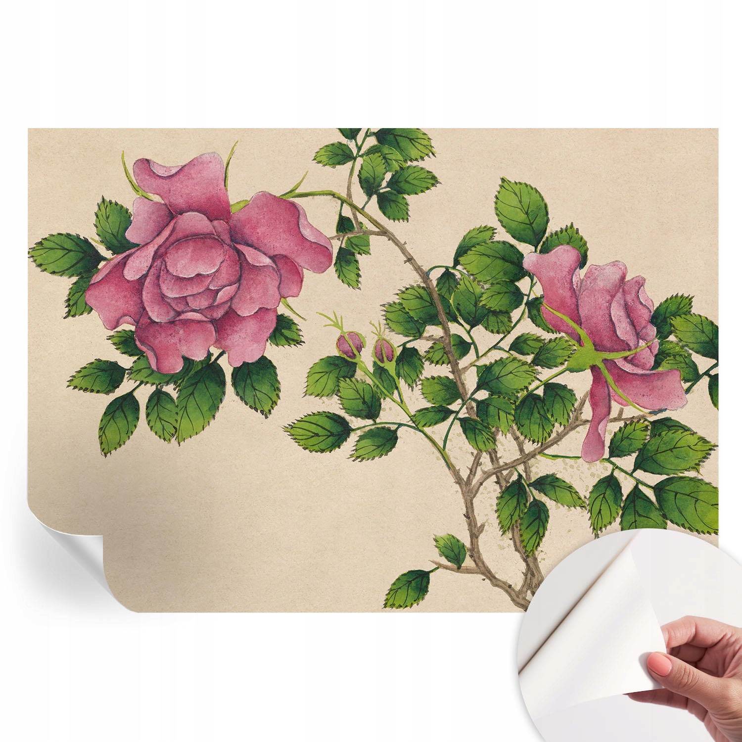 Designová fototapeta na zeď Samolepicí Romantické růže 312 x 219 cm