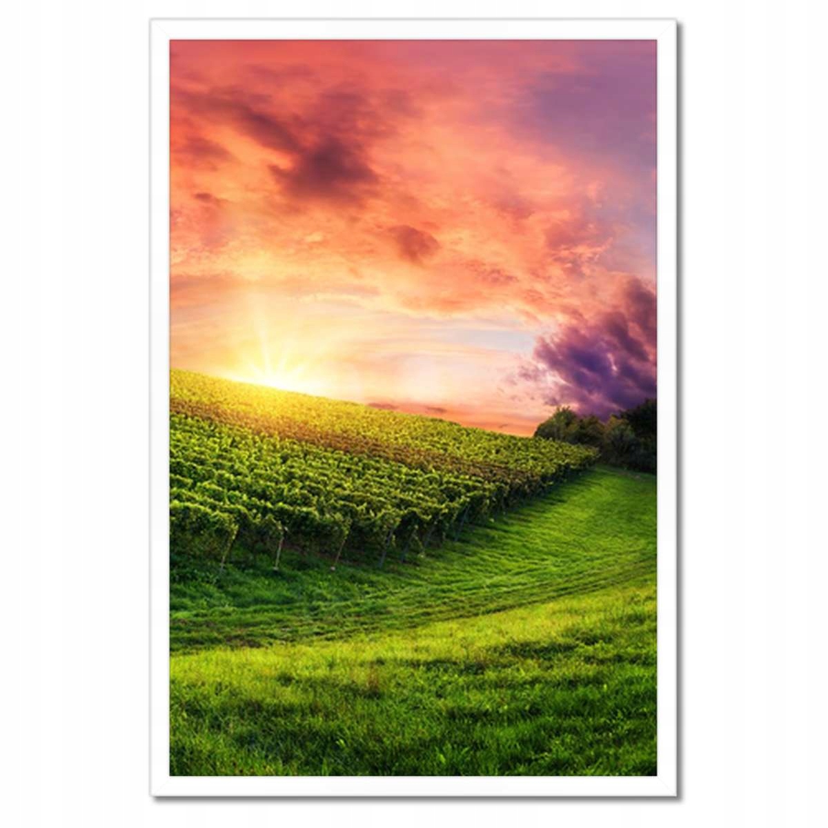 Plakáty v rámu 40x60 Vinice Krajina