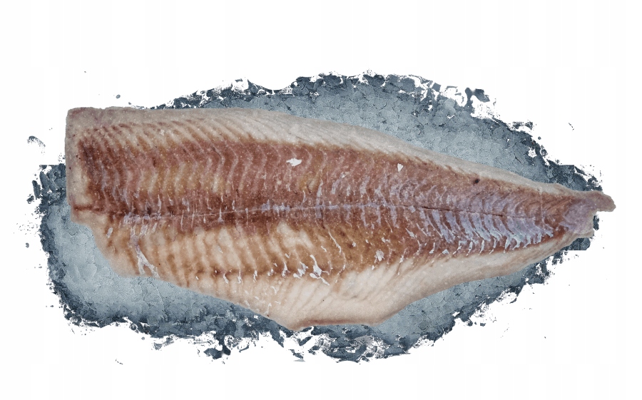 Dorsz czarny czarny 3kg filet bez glazury bez skóry suchy lód termoboks