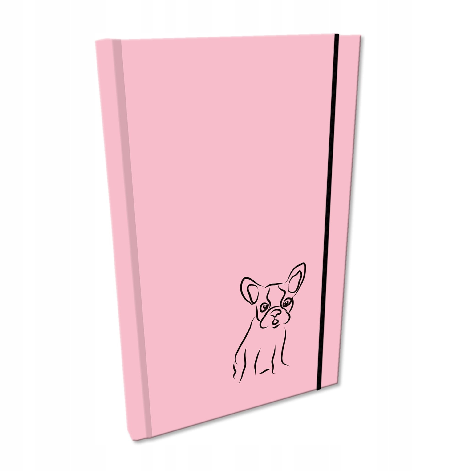 Elegancki Notes Notatnik Szkicownik A5 192str gładki Soft Touch PIES