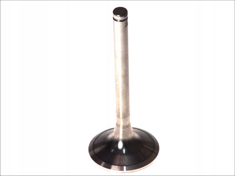 Впускний клапан PARADOWSCY PMAN004