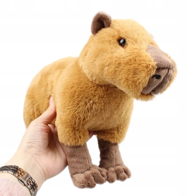 PLUSZAK KAPIBARA CAPYBARA MASKOTKA DLA DZIECI 30CM Płeć chłopcy dziewczynki