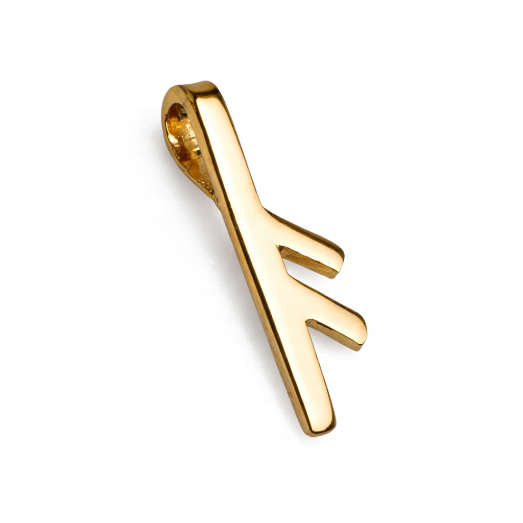 Runa Ansuz Amulet moudrosti a intuice Talisman inspirace Pozlacená