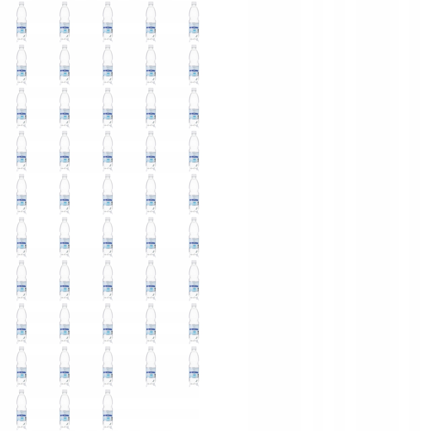 48x 0,5l Piwniczanka Niskonasycona co2