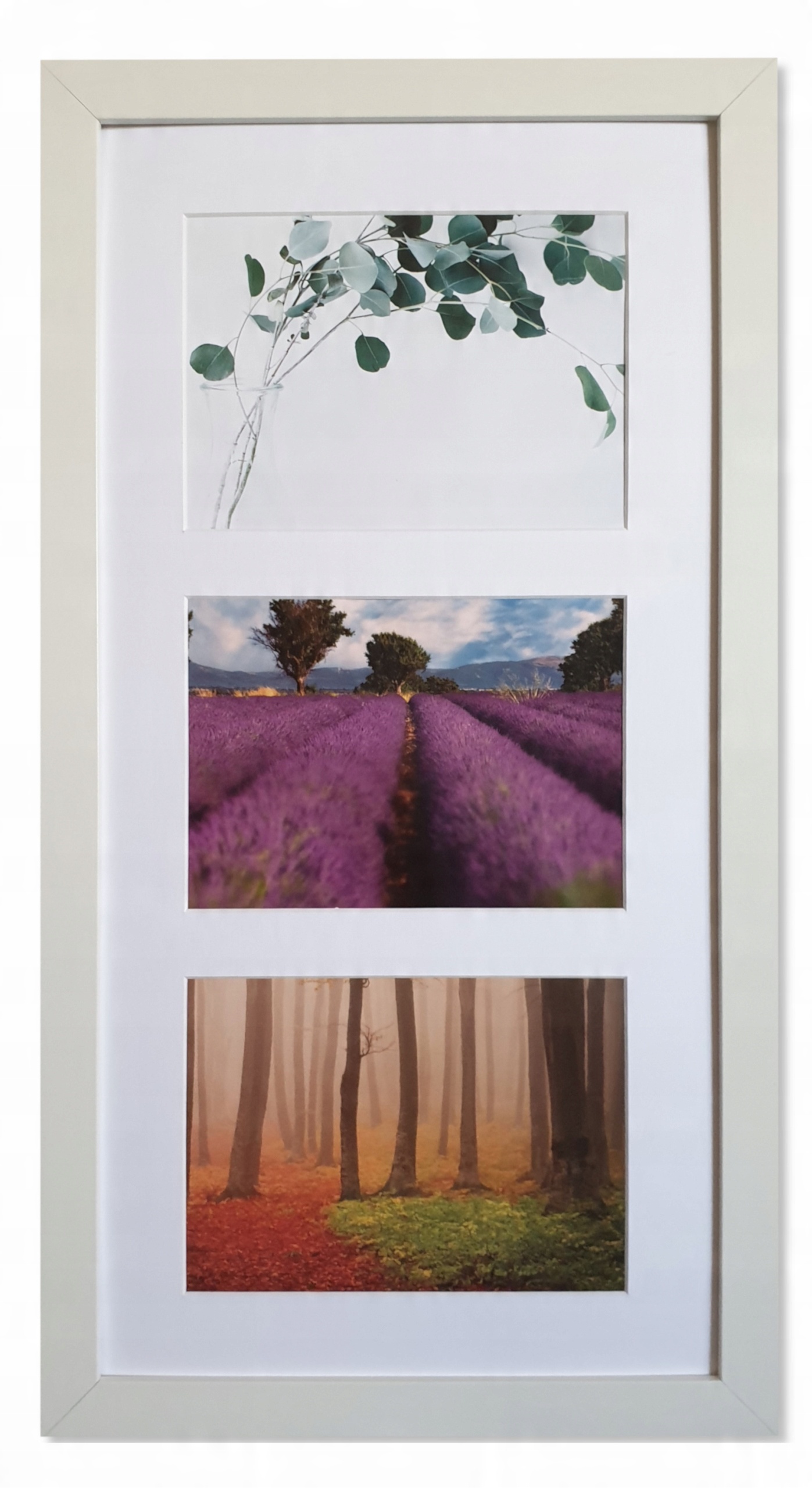 

Galeria 3 zdjęcia 13X18 rama i Passe-partou Ninabk