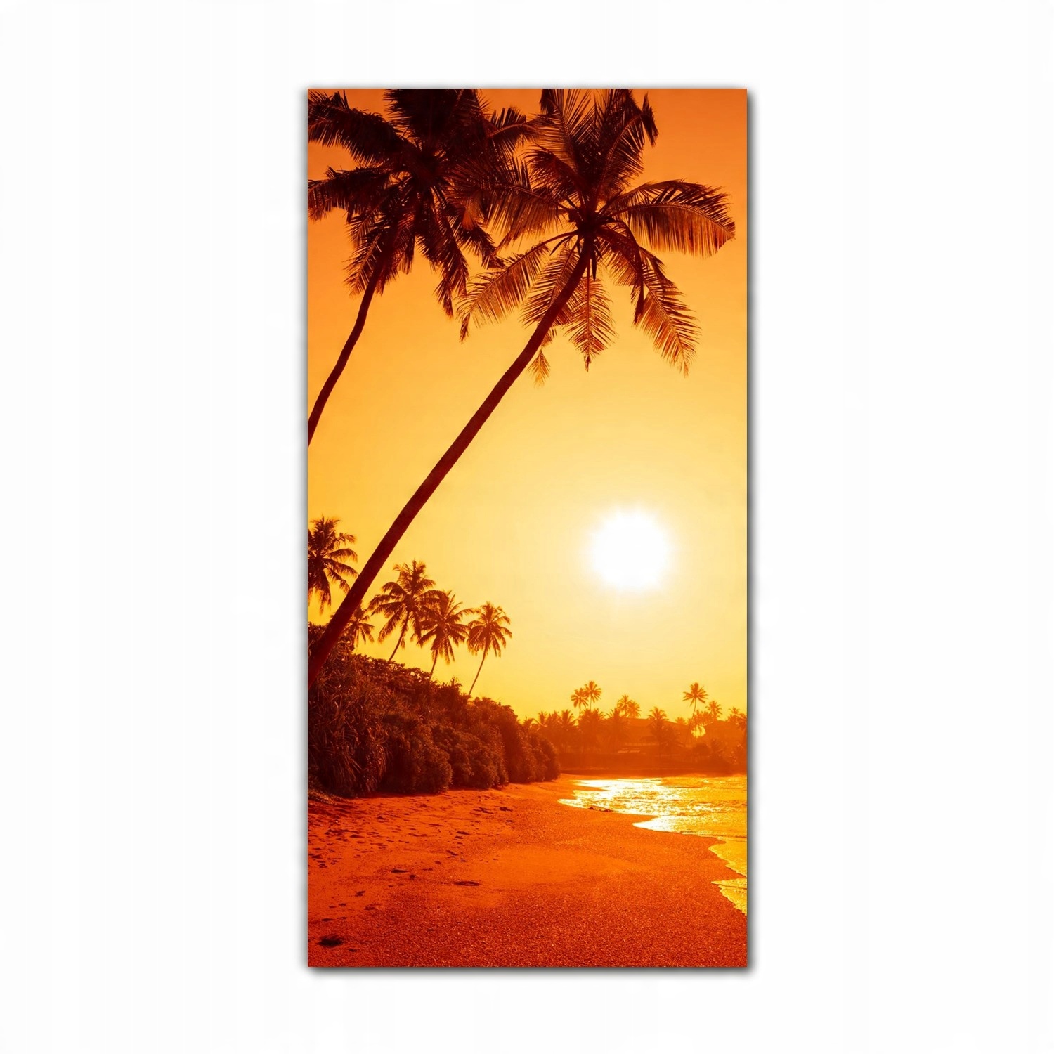 

Obraz na szkle na ścianę 70x140 Tropikalna plaża