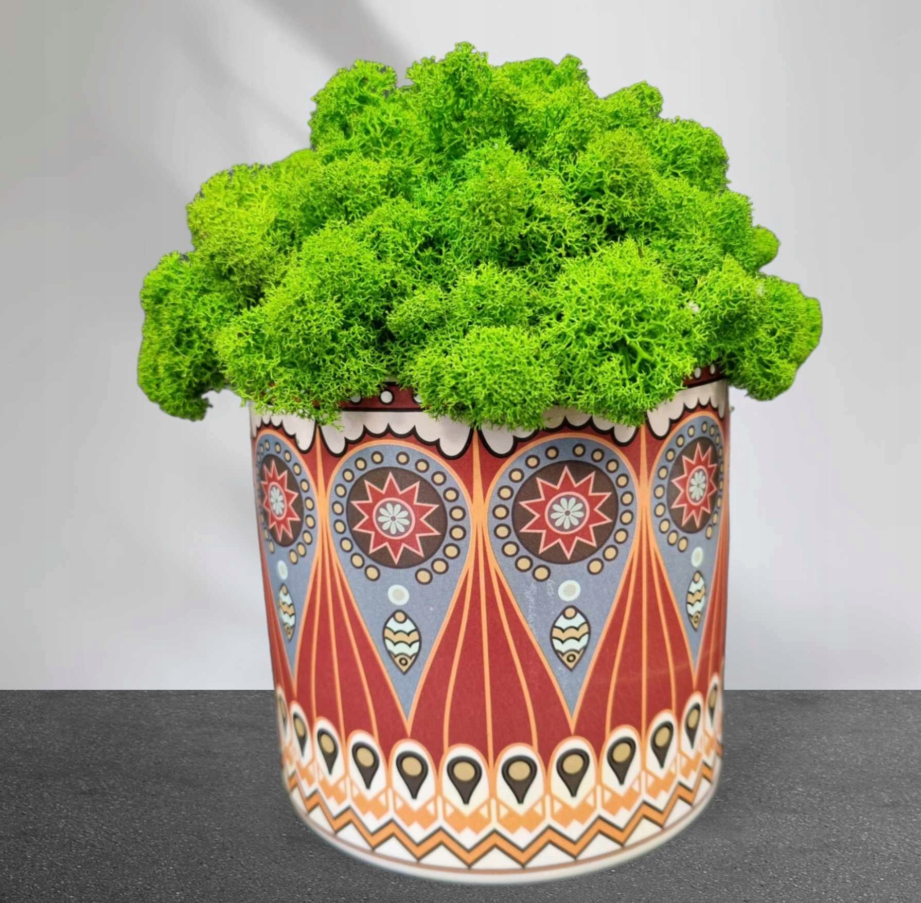 MECH CHROBOTEK W DONICZCE Rodzaj mech chrobotek