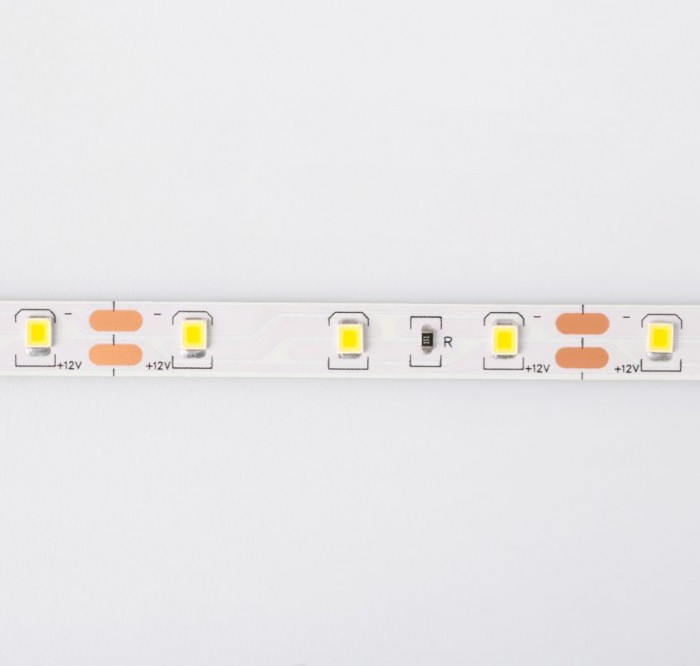 Taśma LED EcoLight 5m 24W biała zimna 4,8W/mb IP20